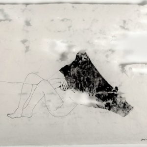 quietus ii