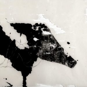 quietus iii