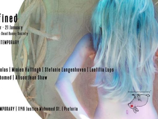 Undefined _ Fried Contemporary _ 2016 – 2017