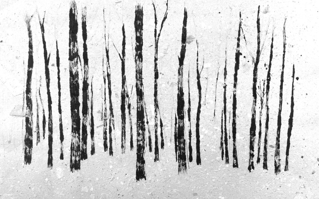 persephone’s grove