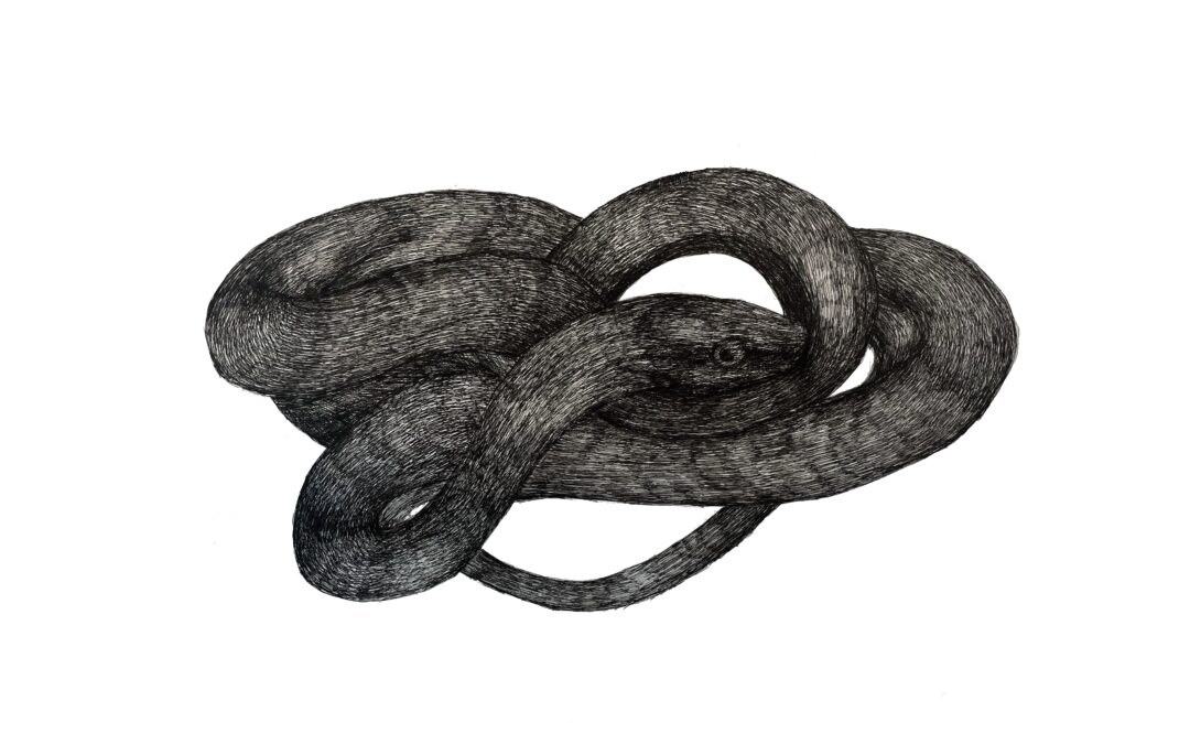 sleeping serpent